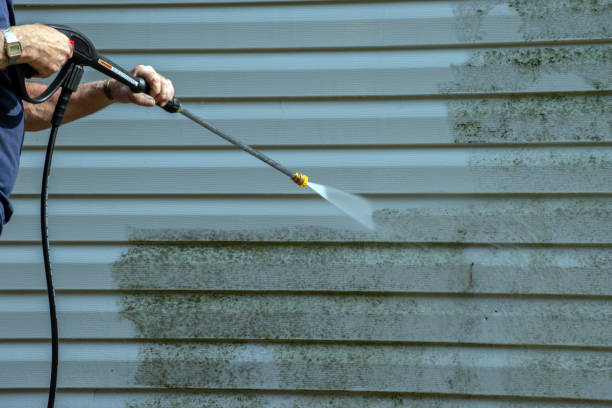 Best Sidewalk Pressure Washing  in Lewisburg, KY