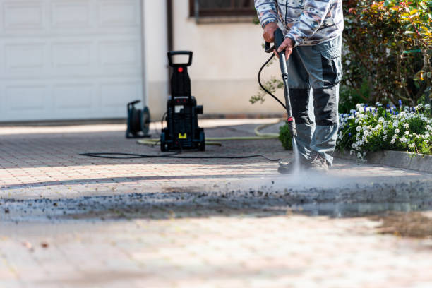 Best House Pressure Washing  in Lewisburg, KY
