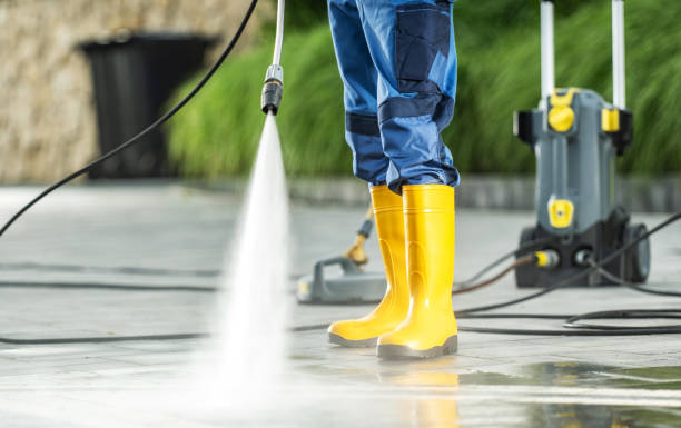 Best Roof Pressure Washing  in Lewisburg, KY