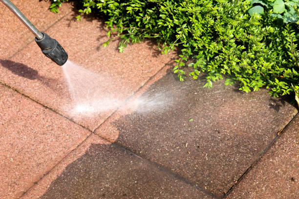 Best Pressure Washing Company Near Me  in Lewisburg, KY