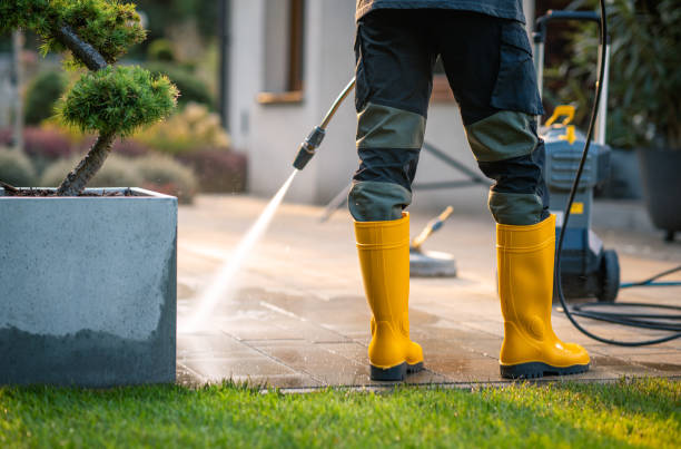 Best Pressure Washing Near Me  in Lewisburg, KY